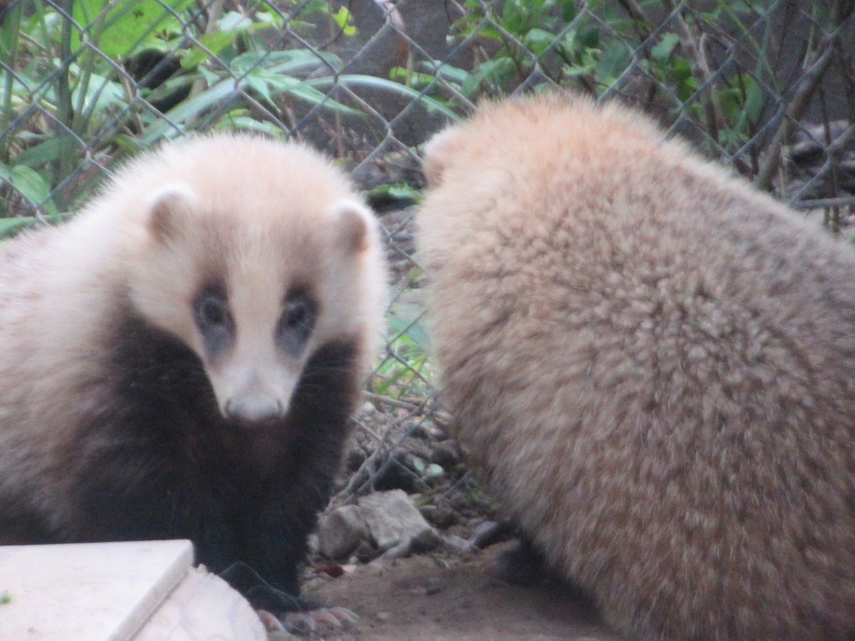 誰かのサブ垢 (@kVWsa4sNlzZr1KK) / Posts / X