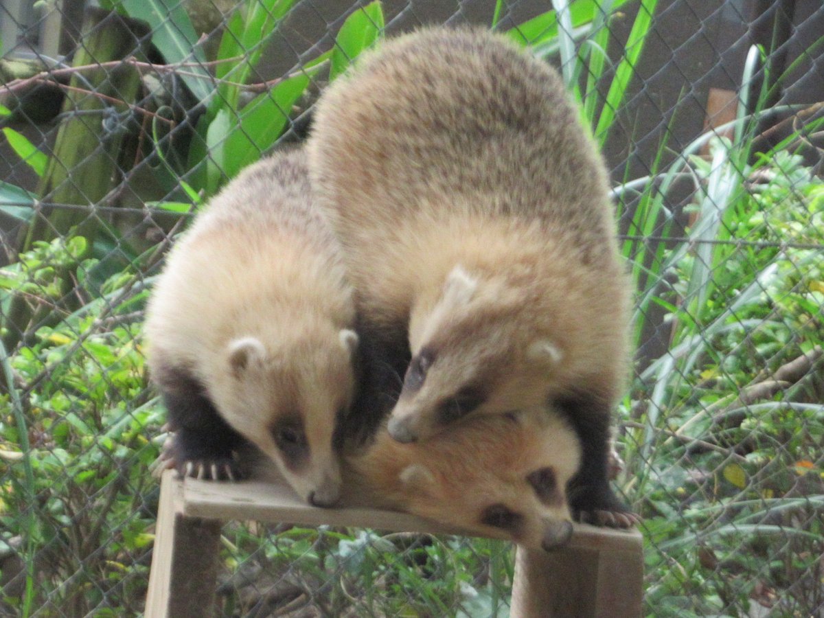 誰かのサブ垢 (@kVWsa4sNlzZr1KK) / Posts / X