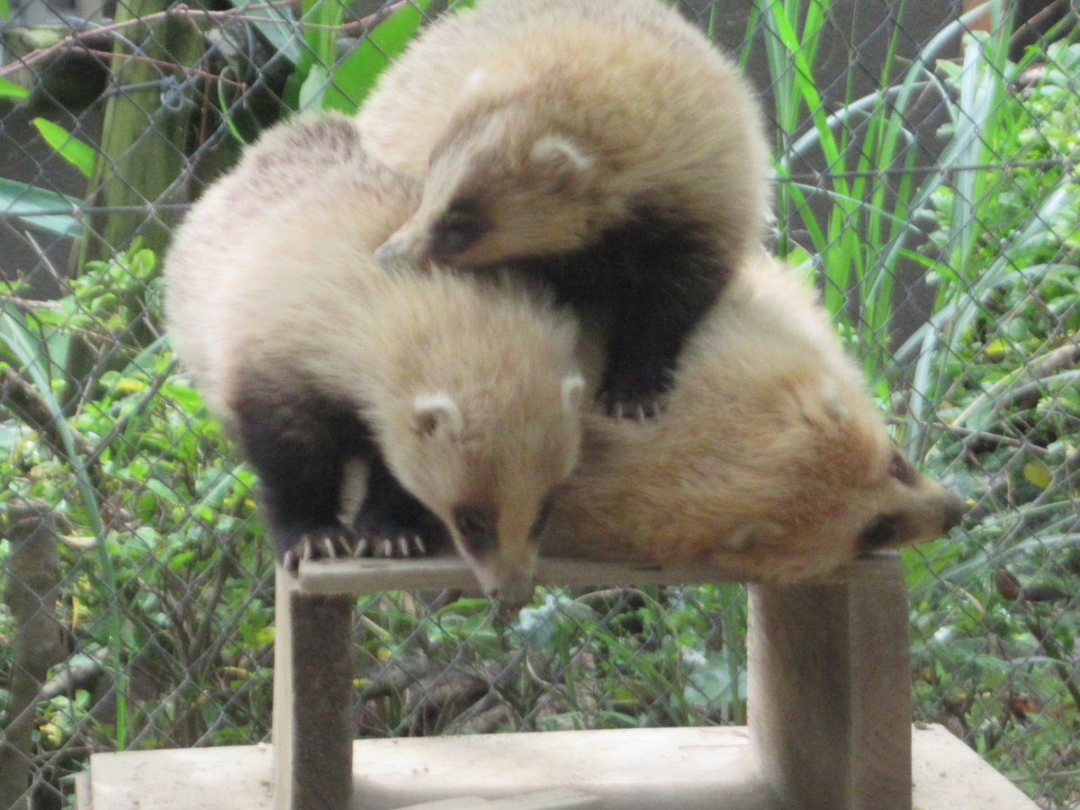 誰かのサブ垢 (@kVWsa4sNlzZr1KK) / Posts / X