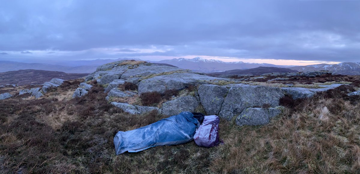 Hazel Strachan tweet media