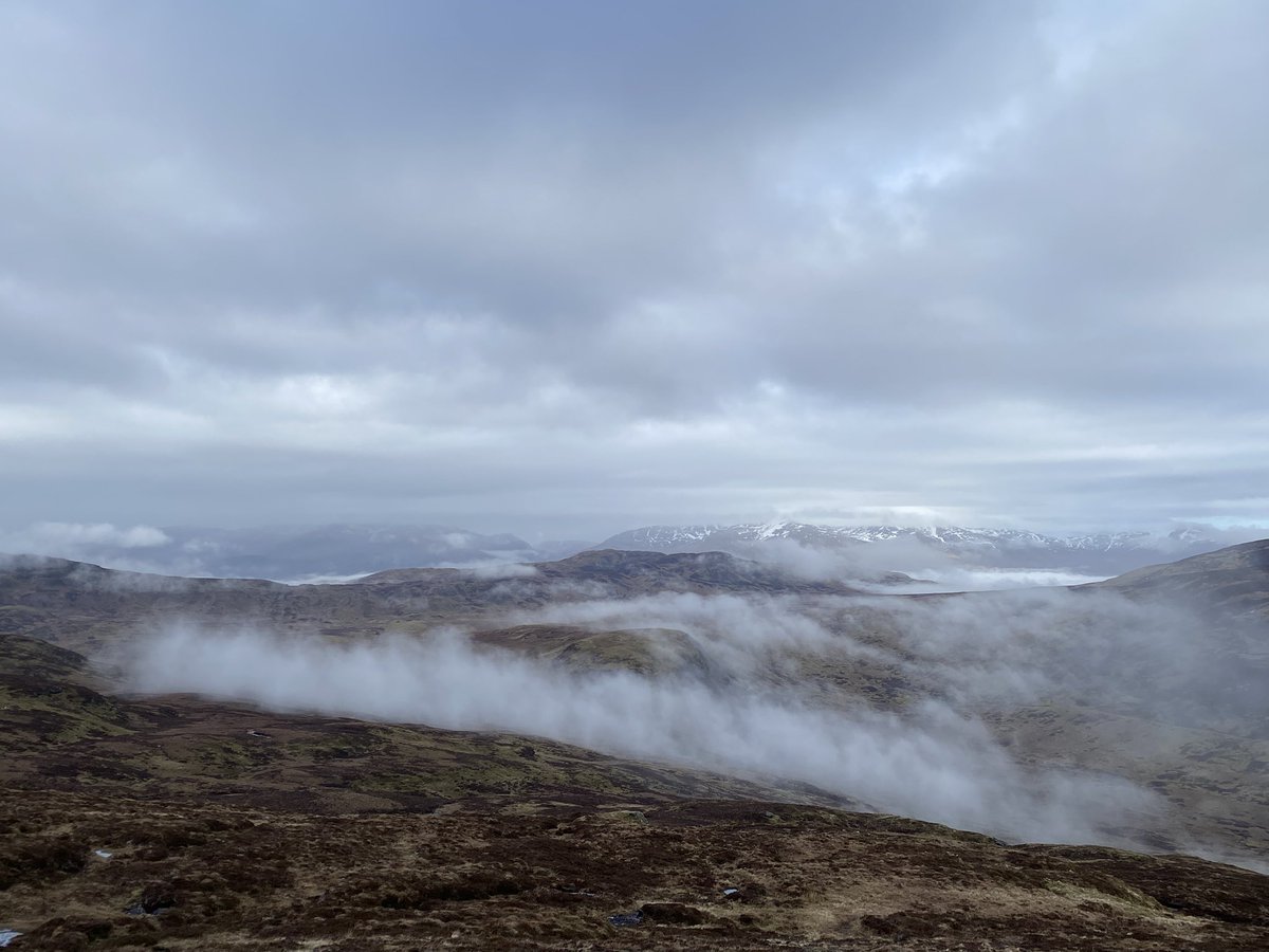 Hazel Strachan tweet media