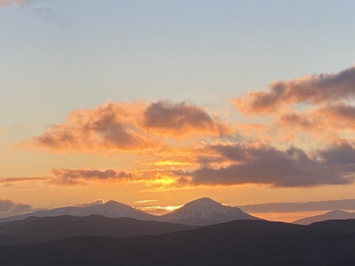 Hazel Strachan tweet media