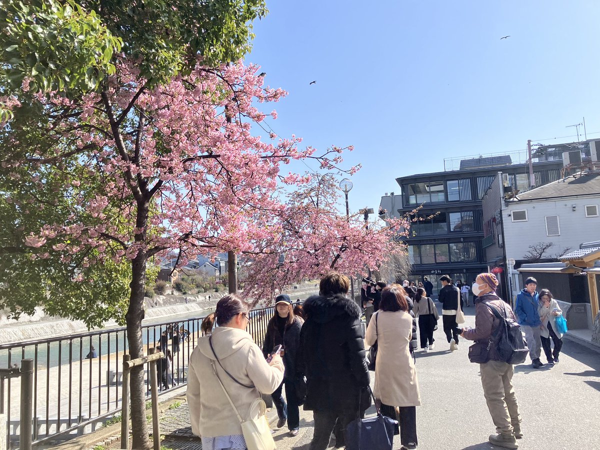 はるちゃん (@harucafe888) / Posts / X