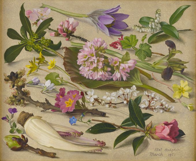British Gardening History tweet media