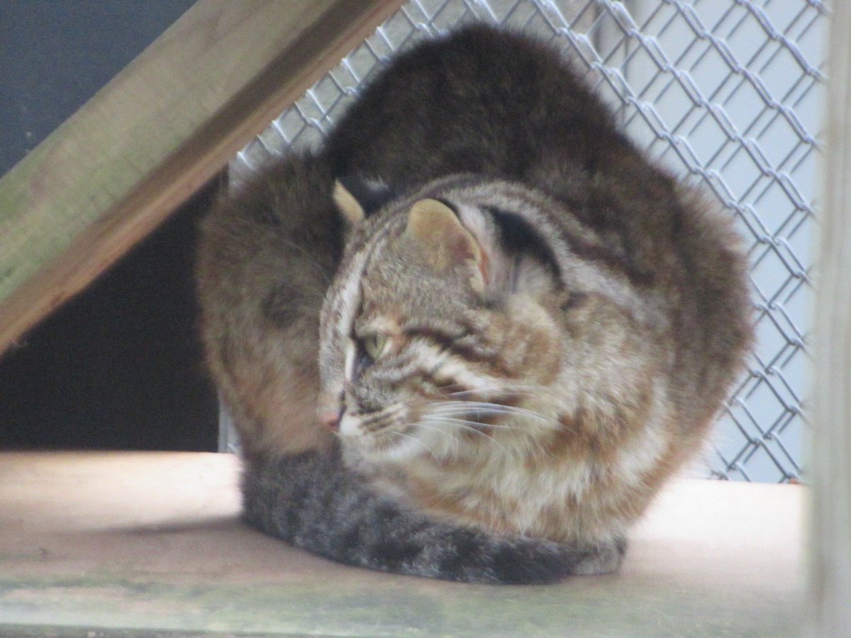 誰かのサブ垢 (@kVWsa4sNlzZr1KK) / Posts / X