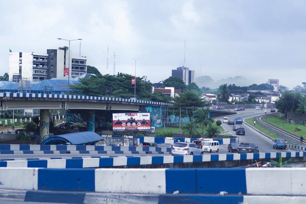 Cindy☘️ tweet media