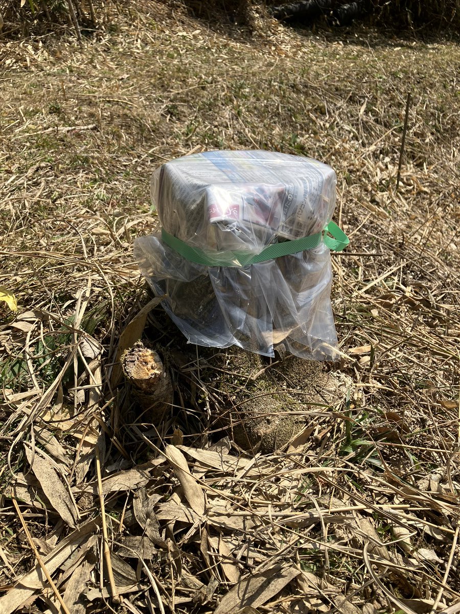 てんてん (@dakodako0202) / Posts / X