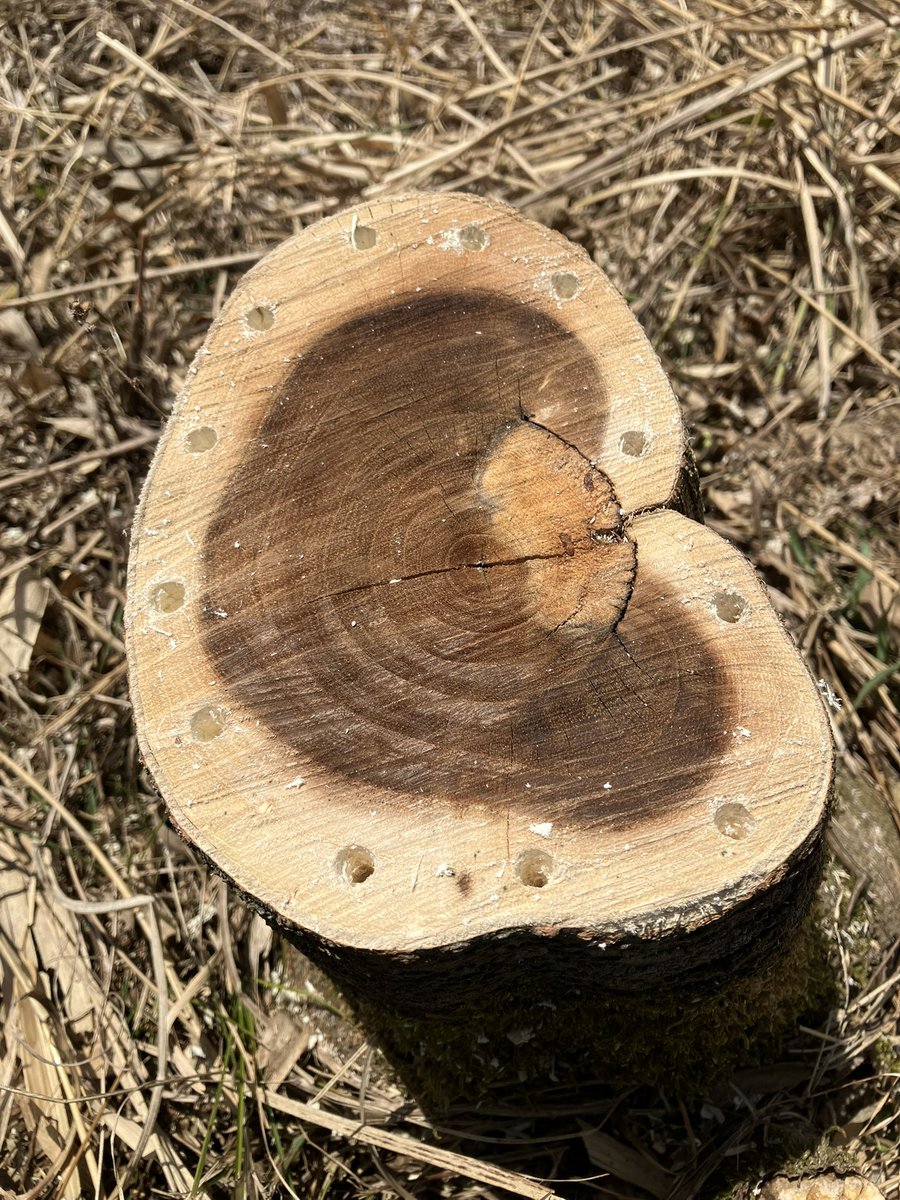 てんてん (@dakodako0202) / Posts / X