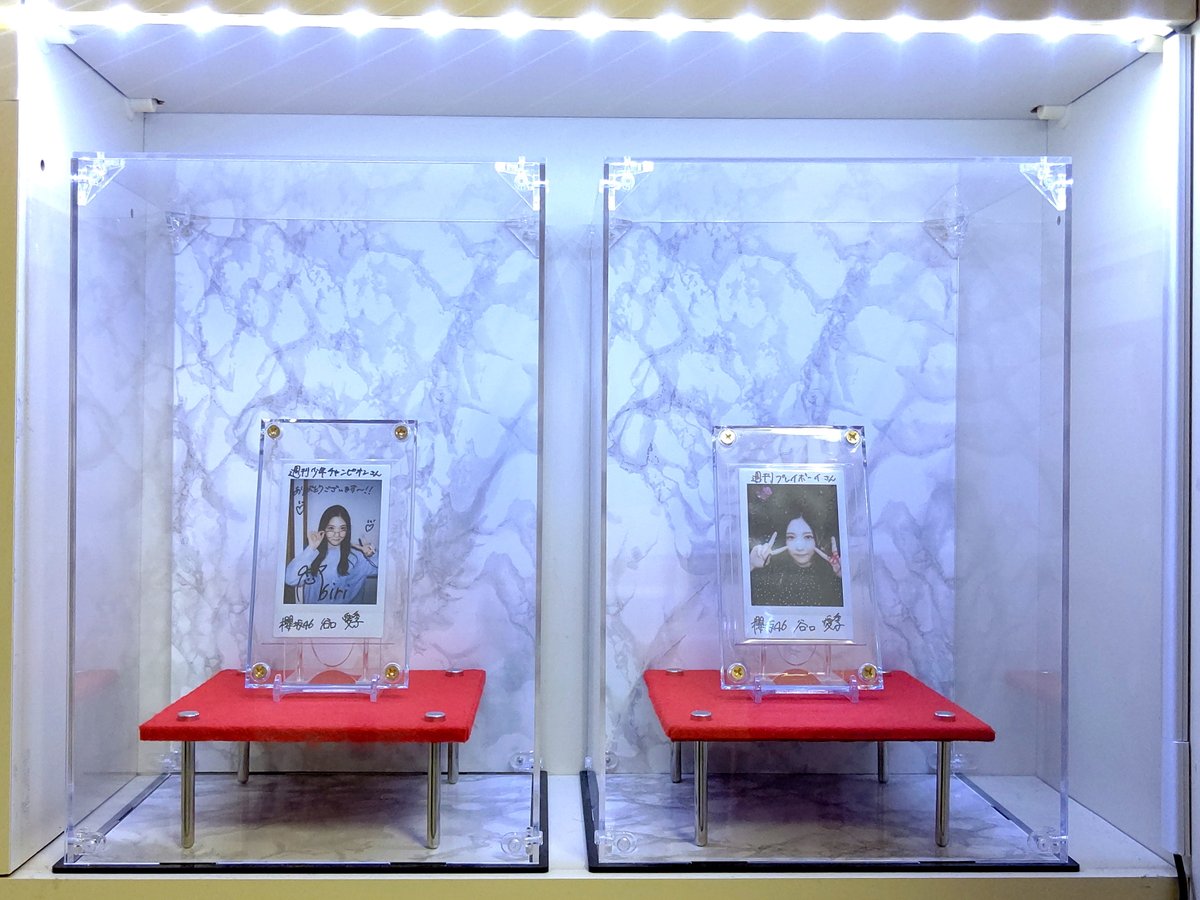 ☆LINDA★ tweet media