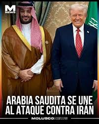 Las principales potencias suníes se han unido a EEUU e Israel contra la gran potencia chií. Pero los que financian la islamización de Europa, incluidas las redes yihadistas, son precisamente las potencias suníes. No nos equivoquemos. Esta no es una guerra contra el "islamismo".