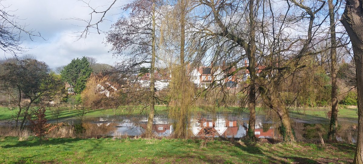 DR SIMON LEE tweet media