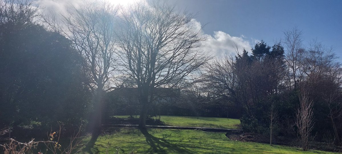 DR SIMON LEE tweet media