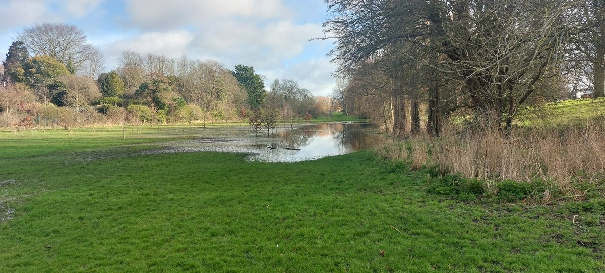 DR SIMON LEE tweet media