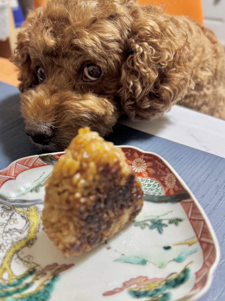 youtu.be/jyUxmqXAFjo?si…

ルーク定位置に付きましたので

お休みなさい🌙🥃♪