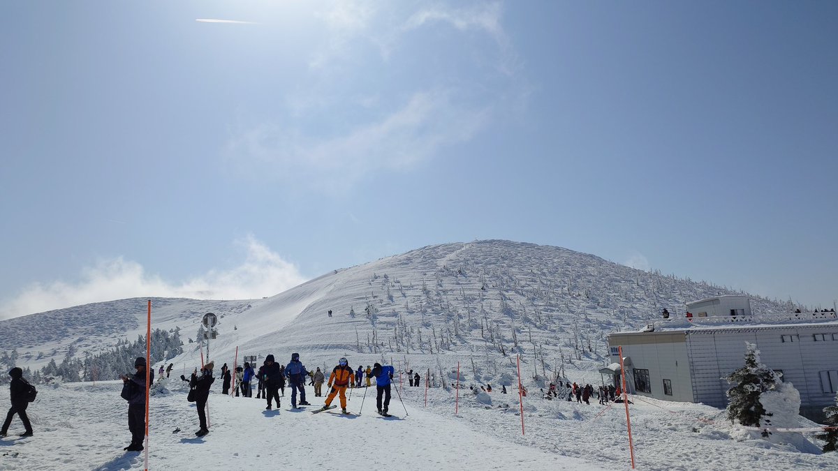 樹氷がlv0からlv3くらいまで復活してた😄