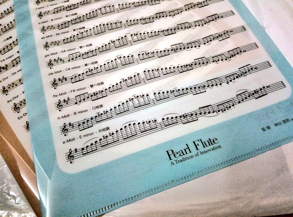 Snowl Ensemble tweet media