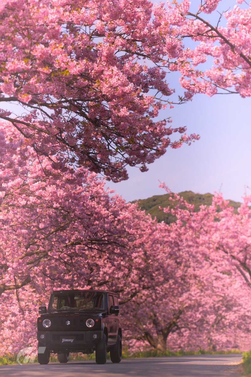 hryk07161's tweet image. 南伊豆町/静岡-日本
ジムニーXC `18

#Scapes 　 #GranTurismo 
#GT7