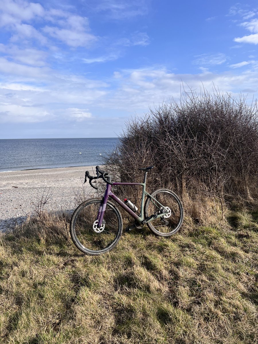 Christian Murschall tweet media