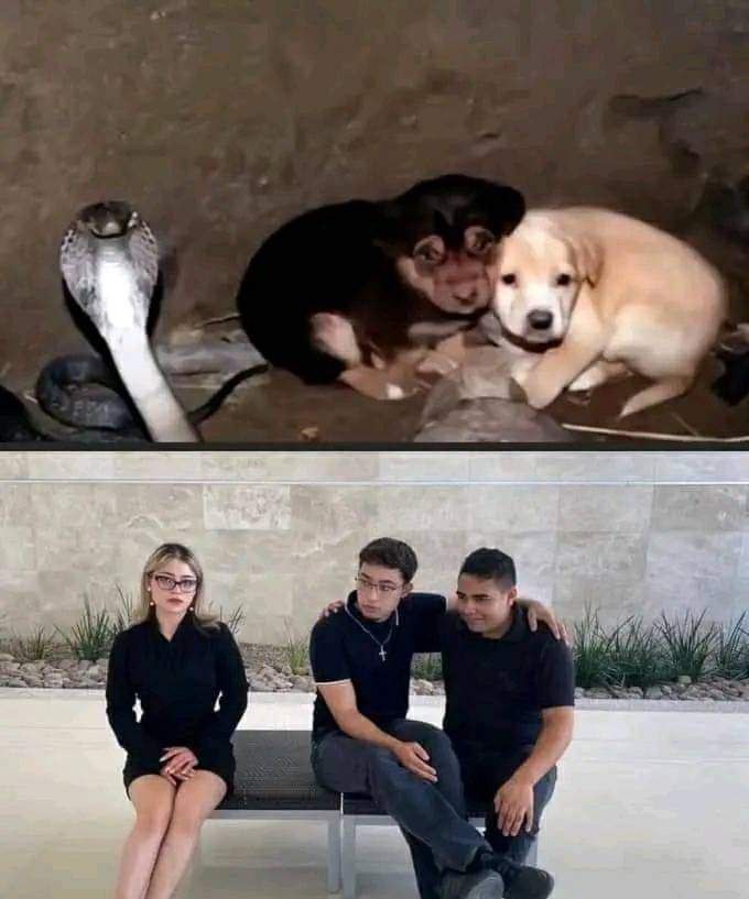 حقيقه​​​​​​​​​​​​​​​​​😂