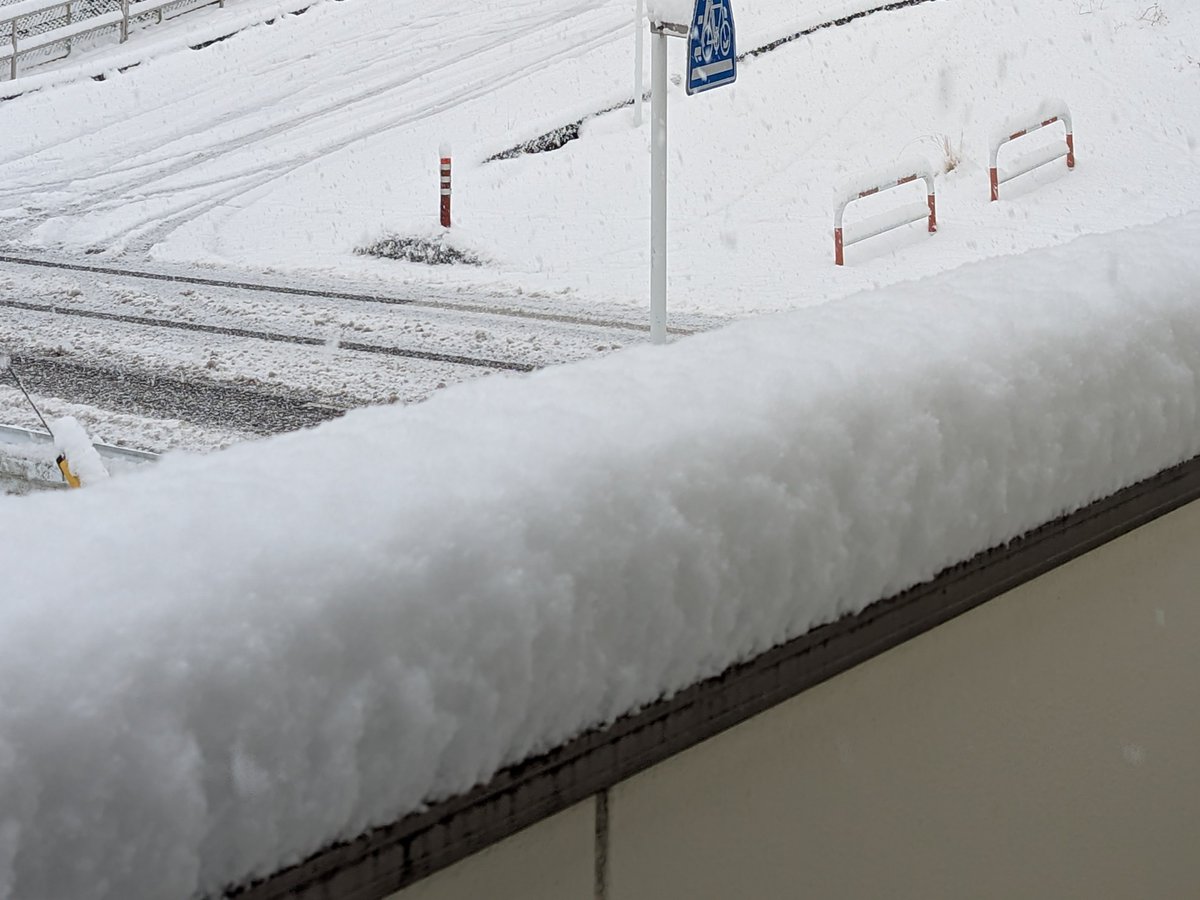 ﾄﾞﾗｲﾌﾞ400 tweet media