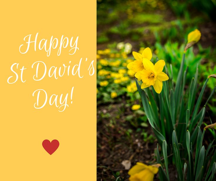 DaniJ65974055's tweet photo. @xlilmissteachx Happy St David's Day Em ๐ด๓ ง๓ ข๓ ท๓ ฌ๓ ณ๓ ฟ
#whatyousaid ๐๐๐๐๐๐ https://t.co/Ti5LLuGT0A