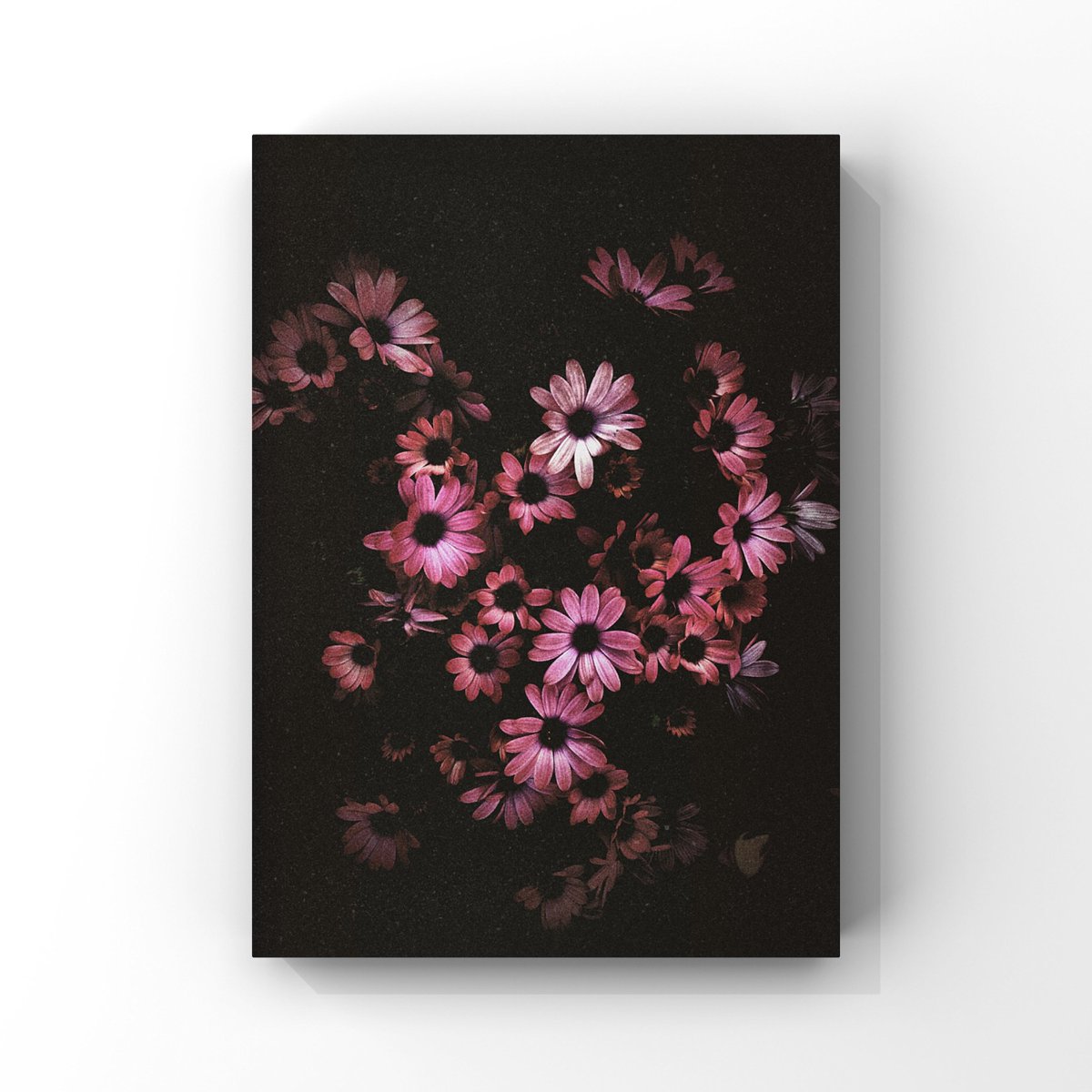 イソ｜#ISO1638400 (@iso1638400) / Posts / X