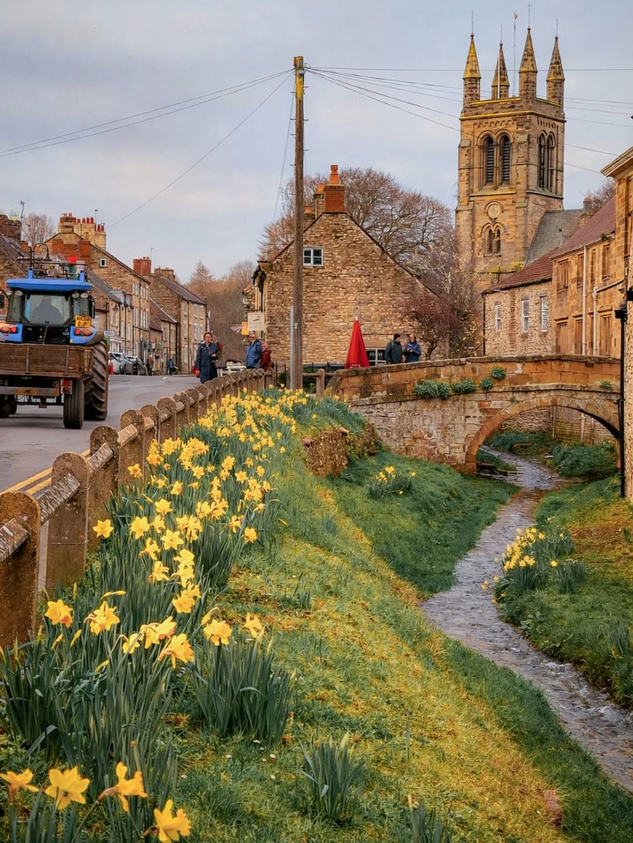 North Yorkshire tweet media