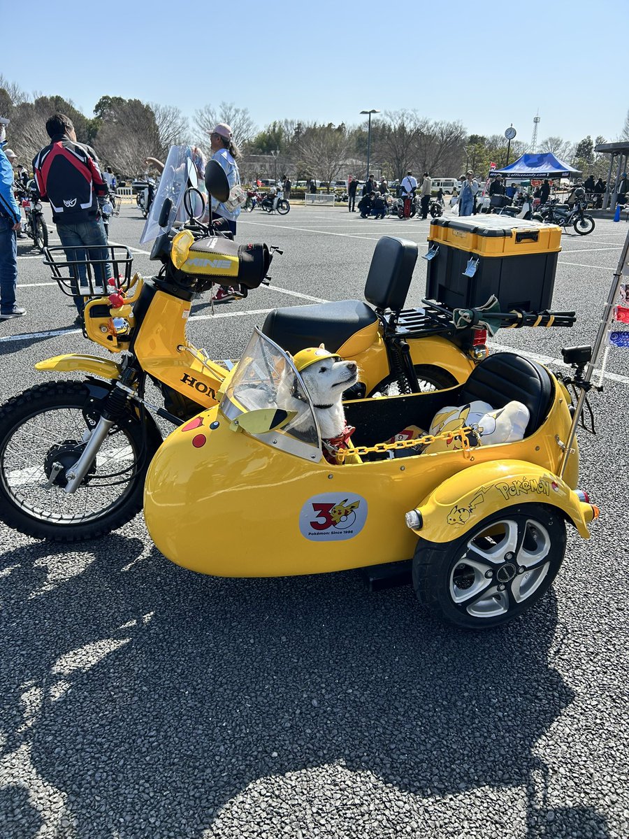 sada69rock's tweet photo. カブ主さんは柴犬カイヌシさんが多いです。
サイドカーのカブに乗って会いに来てくれるあらしちゃん
14歳でも元気です。
他にも小春と継春におやつの差し入れありがとうございました。催促するお二人さん。
あの台数のなかに1台のソロカブさん。
#刺繍屋定春 
#柴犬 
#solo 
#カブヌシ https://t.co/gzw7T27Jvh