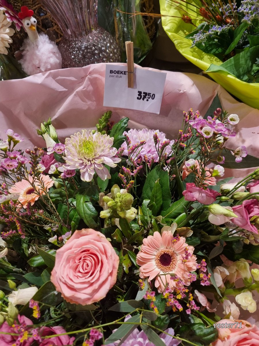 vester71 tweet media