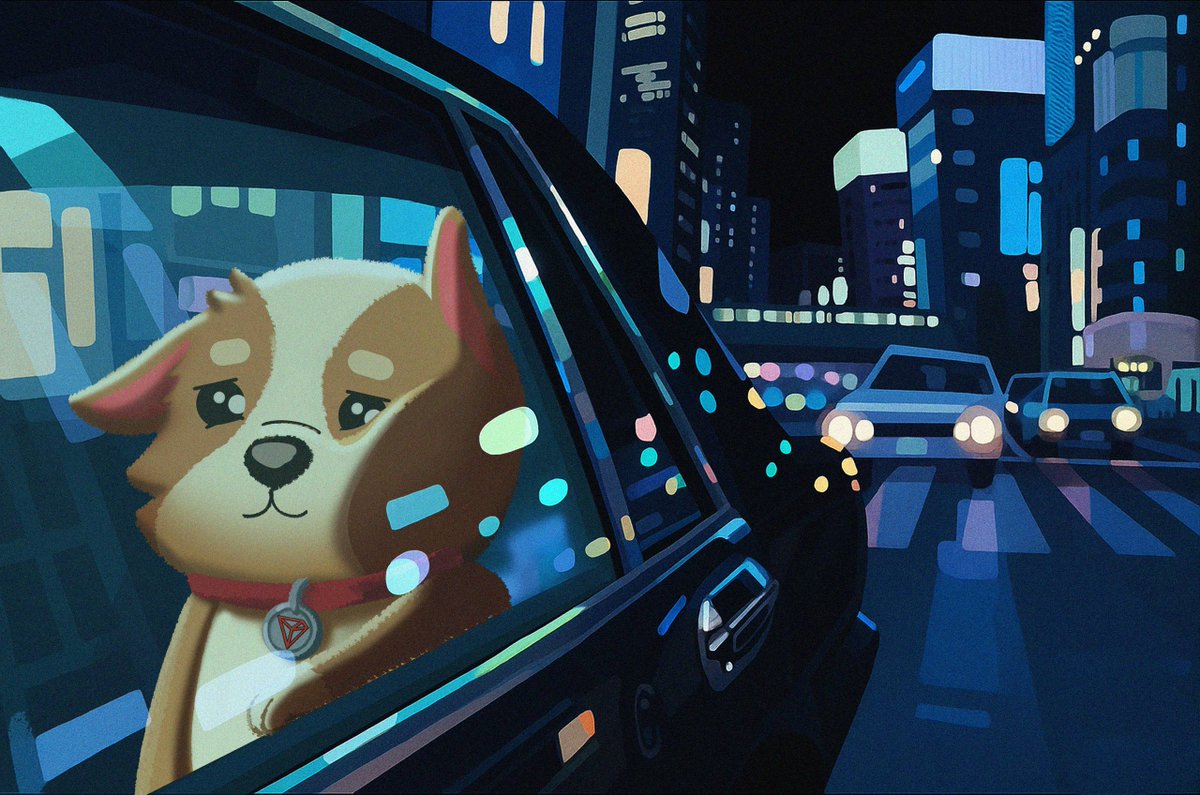 SunDog 🐾 tweet media