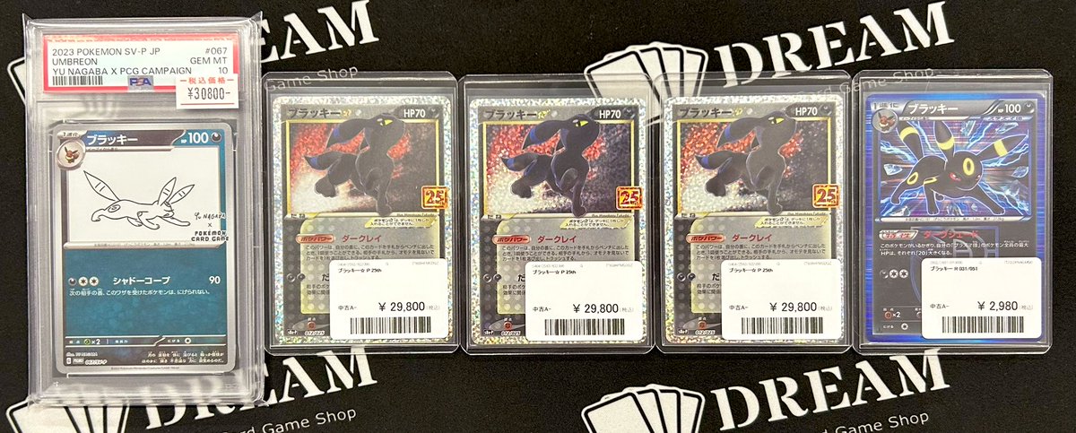 ⚡️入荷情報⚡️ 皆大好きブラッキーちゃん🐈‍⬛ ブラッキー 25th