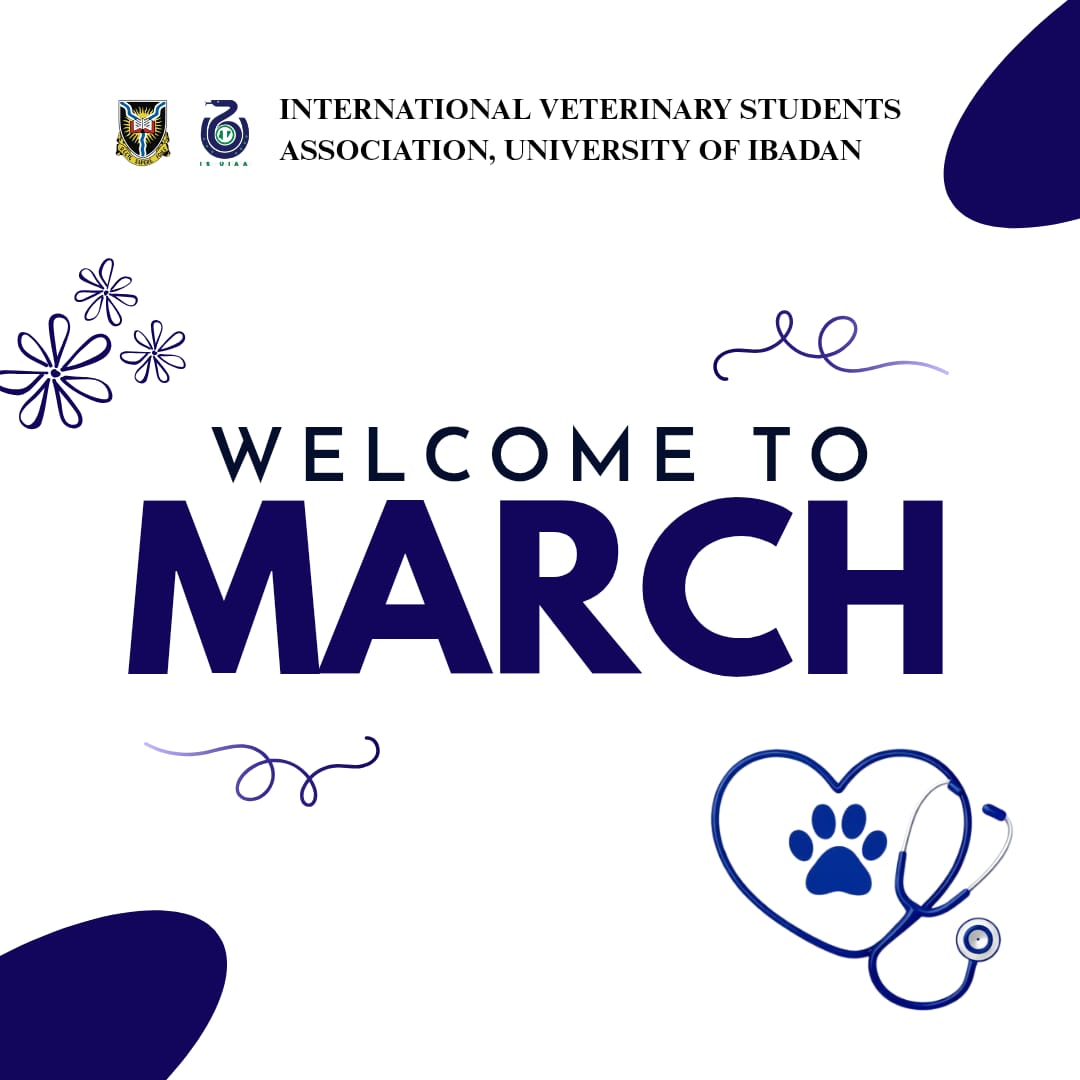 IVSAUNIBADAN's tweet photo. Welcome to March, IVSA-UNIBADAN! 🩺🐶

Another opportunity to sharpen your knowledge, strengthen your skills, and grow into the veterinarian the world needs.

Stay focused. Stay consistent. Stay compassionate.

March is ours 💙🐾 https://t.co/FysJshLsks