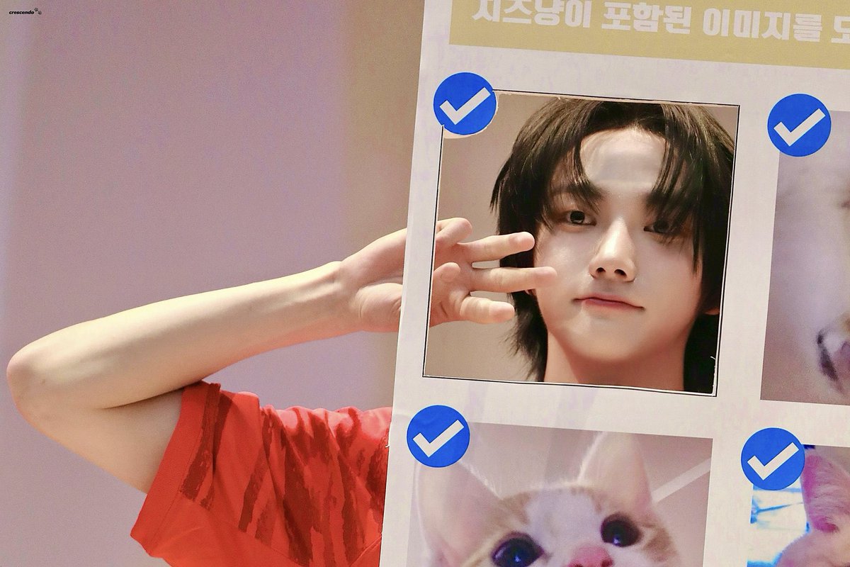 고양이 판넬 들었다고 고양이 귀에 고양이 수염까지 해주는 거 커욤이겟찌…