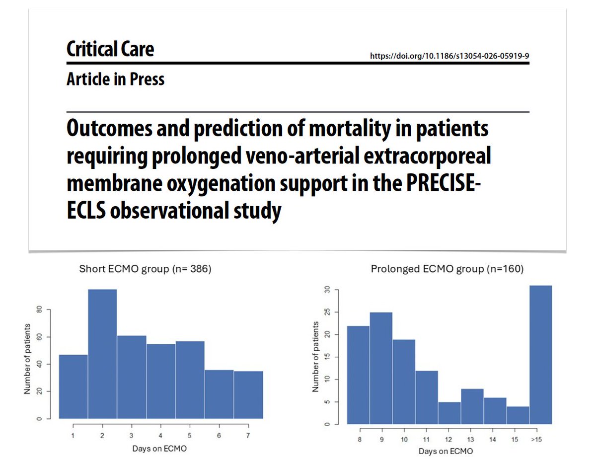 M Velia Antonini tweet media