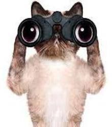 JetLagKitty tweet media