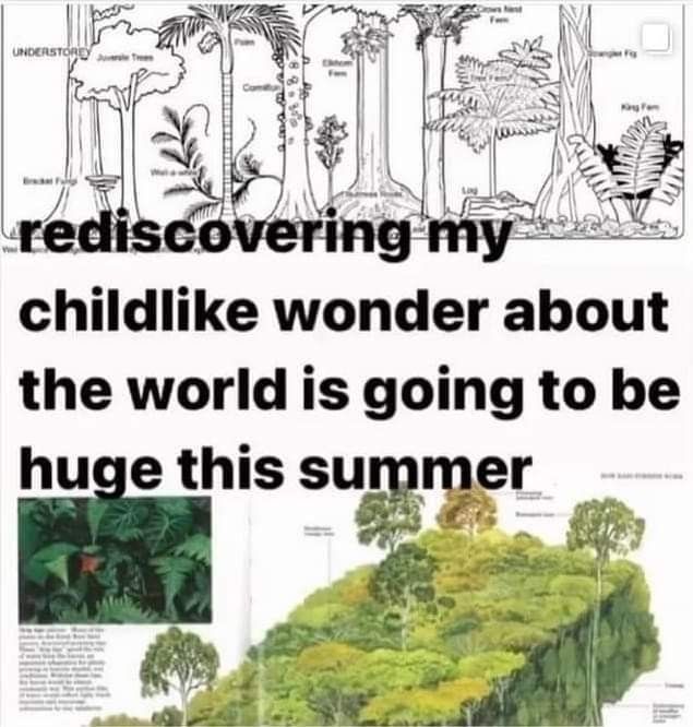 rio 🪲 bug oomf tweet media