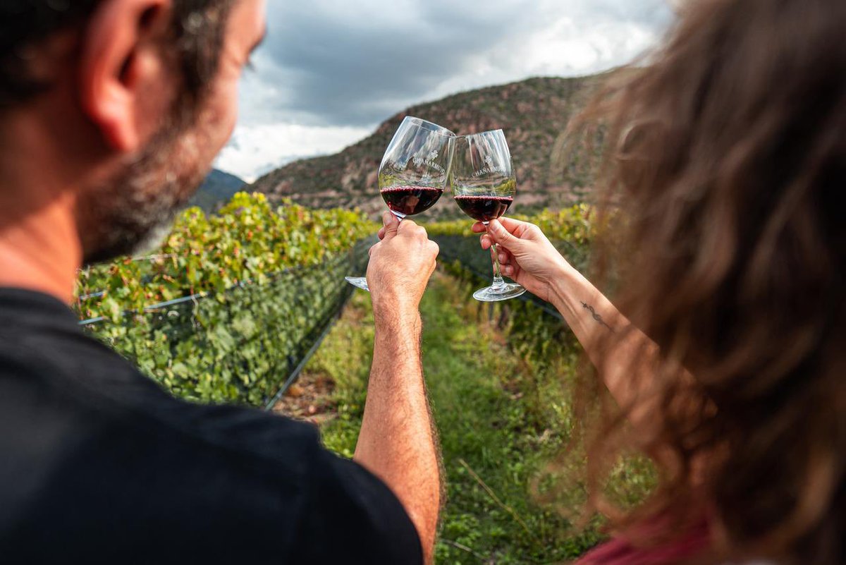 Ricardo Quintela tweet media