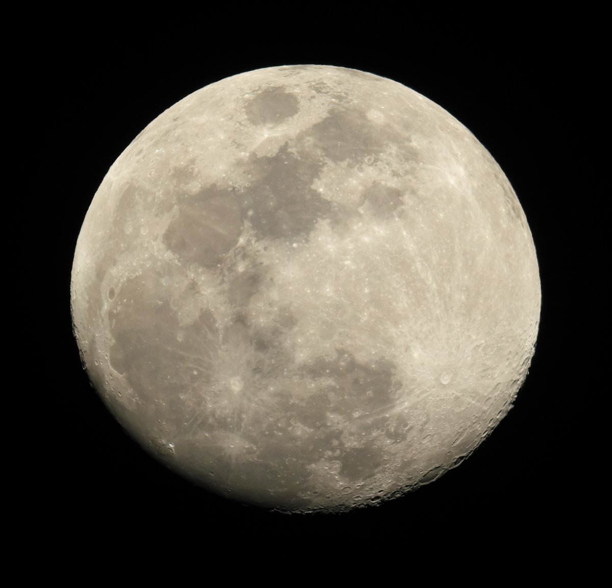 月世界への招待🌙🔭 tweet media