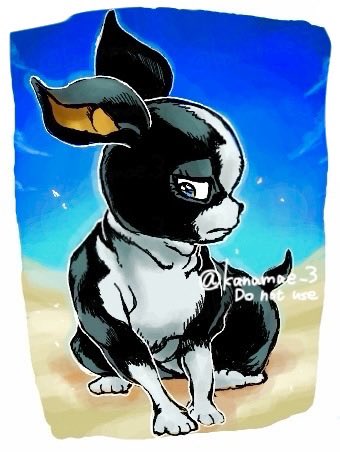 かなまえ tweet media