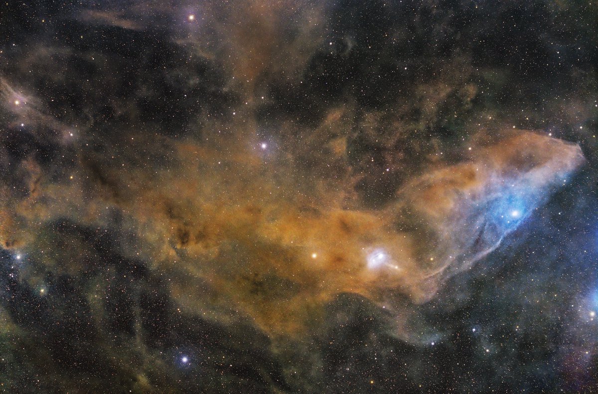 早春に夏物の皮切りに上がってくる天体です。 さそり座 IC4592 青い馬