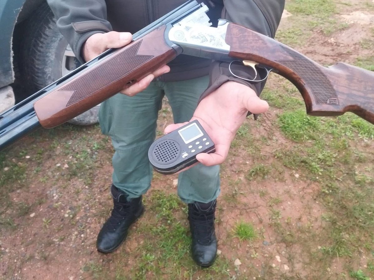 Committee Against Bird Slaughter (CABS) tweet media