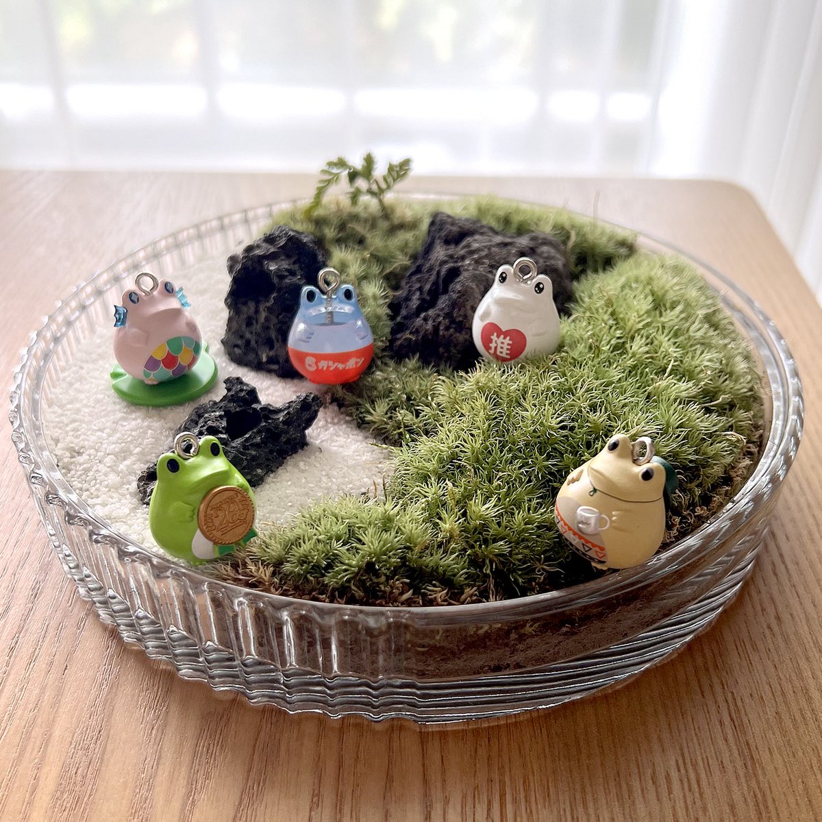clipnotebook's tweet photo. フロッグスタイル

2022年に出た20周年ガチャガチャはこんな感じだった💚

2026年版のめじるしアクセサリー、デザインが可愛くて良い！ https://t.co/TZj878uhyG