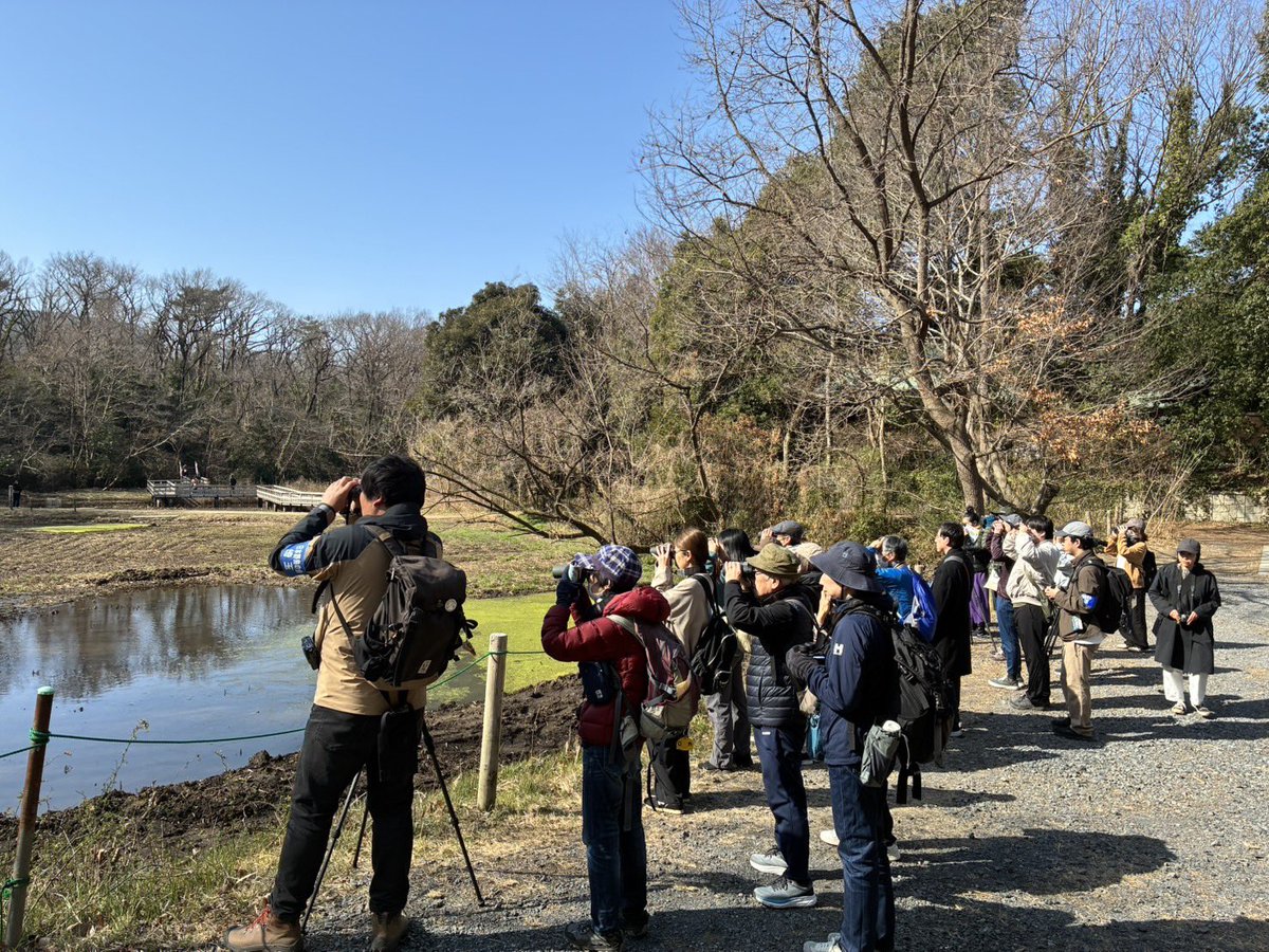【初心者向け探鳥会】
今日開催した初心者向け探鳥会@北本自然観察公園では、約20名の方にご参加いただきました🐤
双眼鏡の使い方をレクチャーし、ツグミ、ジョウビタキ、タシギ、モズなどをじっくり観察🔰
空にはオオタカが2度舞ってくれました🦅
ご参加いただいた皆様、ありがとうございました✨