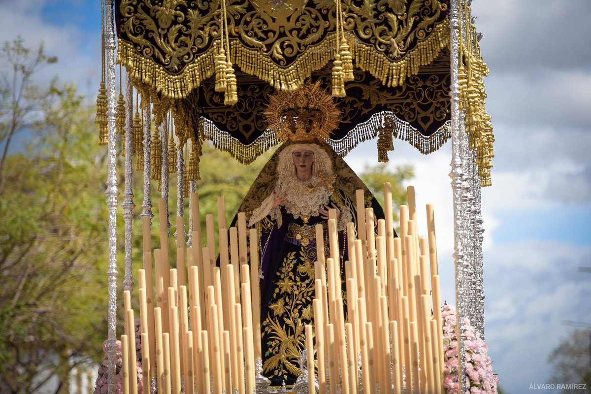 Dolores del Cerro tweet media