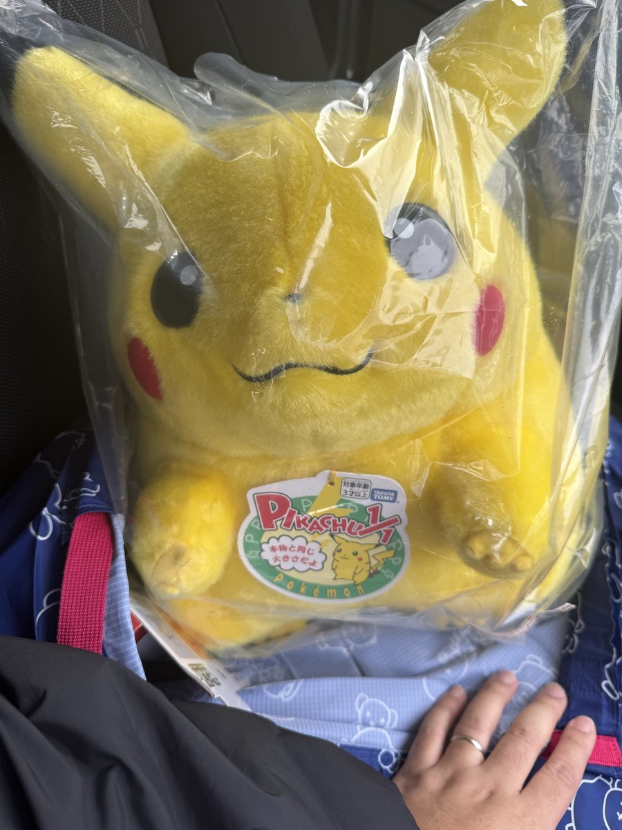 🎉ポケモン30周年🎉 オンラインでは即完売した ⚡「おかえり