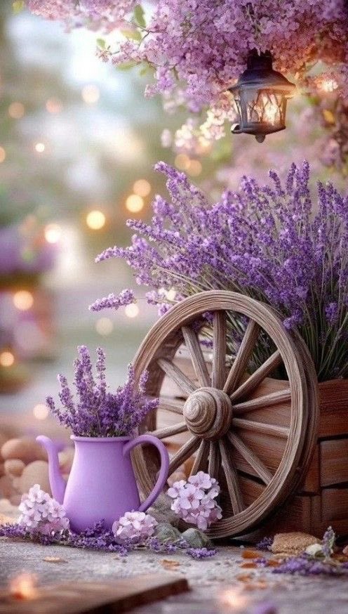 🕊️🌿🌸 Cloe 🕊️🌿🌸 tweet media