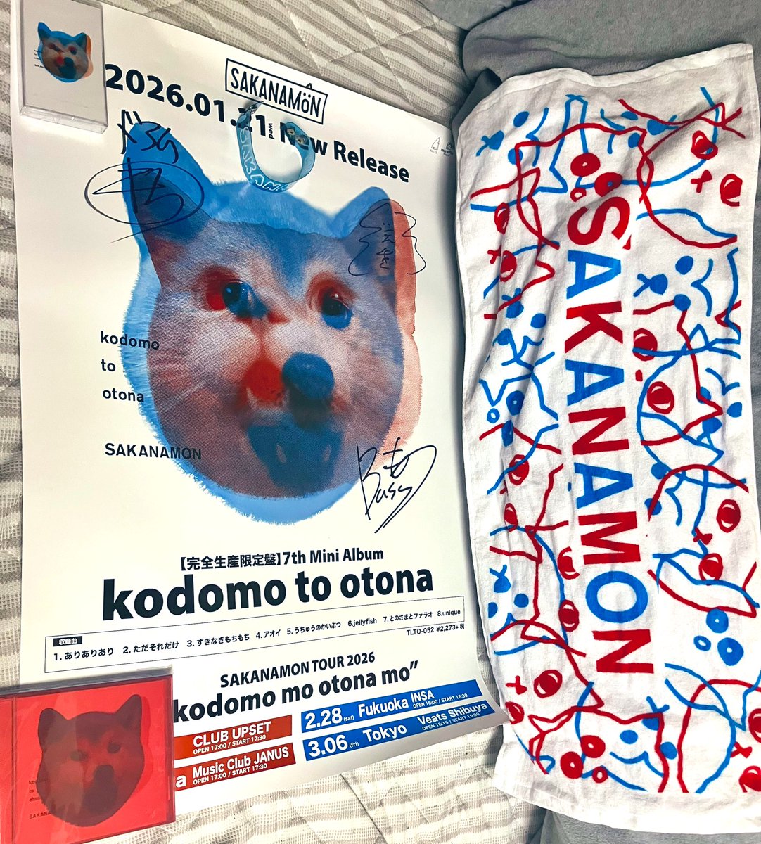 SAKANAMONの物販でいっぱい買いました！ 新譜「kodomo to otona」CD