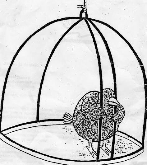 Dilf Max Lobo tweet media