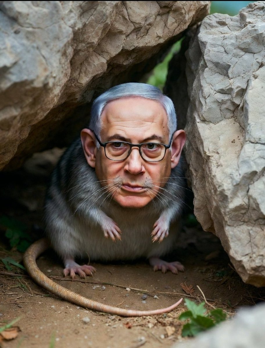 🚨 URGENTE: O COVARDE EM BERLIM E O TESTE PARA O DIREITO INTERNACIONAL

O avião "Wings of Zion" de Netanyahu pousou em Berlim na última noite. Após a escalada desastrosa causada pelo assassinato de Khamenei, o líder israelense busca refúgio no G7. No entanto, o status jurídico é