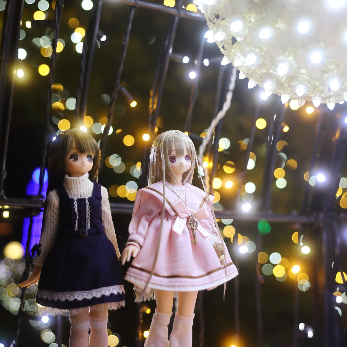 輝くイルミネーションを巡る二人
#えっくすきゅーと #アゾカツ